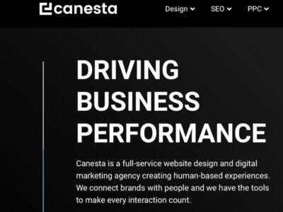 Canesta: A full-service digital agency